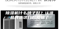 除湿机什么牌子好？认准品牌选这几款就够了