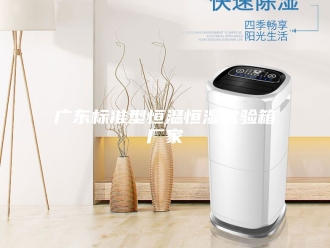 常见问题广东标准型恒温恒湿试验箱厂家