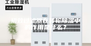 初效过滤器在转轮除湿中的作用是什么？
