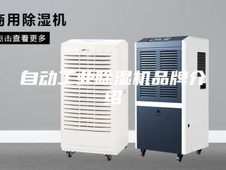 行业新闻自动工业除湿机品牌介绍