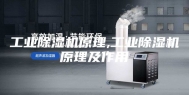 工业除湿机原理,工业除湿机原理及作用