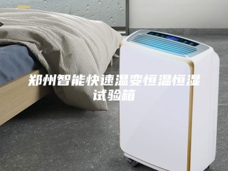 常见问题郑州智能快速温变恒温恒湿试验箱