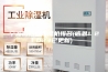 宁波低露点除湿机排名(感恩！2023已更新)