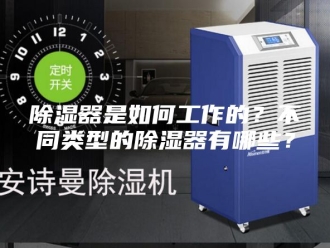 知识百科除湿器是如何工作的？不同类型的除湿器有哪些？