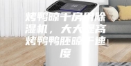 烤鸭晾干房用除湿机，大大提高烤鸭鸭胚晾干速度