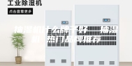 抽湿机什么牌子好  抽湿机 热门品牌推荐