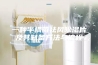 一种半枫荷祛风除湿片及其制备方法与流程