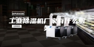 工业除湿机厂家有什么服务