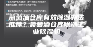葡萄酒仓库有效除湿办法推荐？葡萄酒仓库除潮工业除湿机