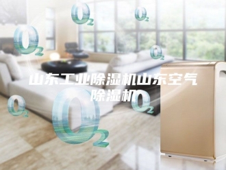 行业新闻山东工业除湿机山东空气除湿机
