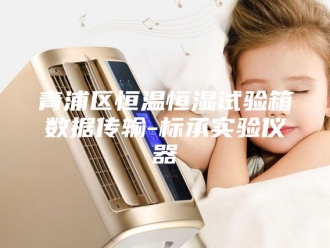 常见问题青浦区恒温恒湿试验箱数据传输-标承实验仪器