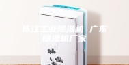 珠江工业除湿机 广东除湿机厂家