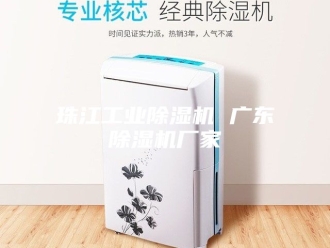 行业新闻珠江工业除湿机 广东除湿机厂家