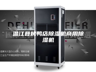 行业新闻温江县烤鸭店除湿机商用除湿机