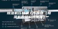 除湿机压缩机工作原理（除湿机的结构原理图）