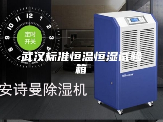 常见问题武汉标准恒温恒湿试验箱