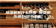 除湿机有什么作用 除湿机作用介绍【详解】