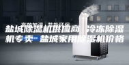 盐城除湿机供应商 冷冻除湿机专卖 盐城家用除湿机价格