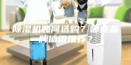 除湿机如何选购？哪些品牌值得推荐？