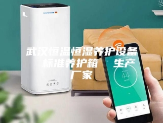 常见问题武汉恒温恒湿养护设备  标准养护箱  生产厂家