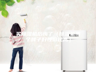 常见问题买除湿机后悔了（除湿机哪个牌子好性价比高）