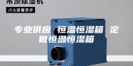 专业供应 恒温恒湿箱 定做恒温恒湿箱