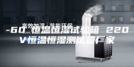 -60℃恒温恒湿试验箱 220V恒温恒湿测试箱厂家