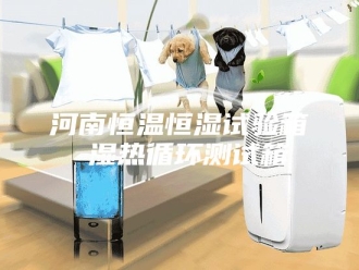 常见问题河南恒温恒湿试验箱 湿热循环测试箱