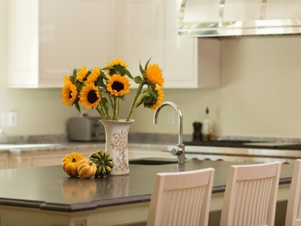 常见问题你家里的环境是太干燥还是太潮湿？