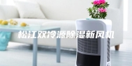 松江双冷源除湿新风机