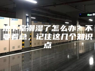知识百科地下室潮湿了怎么办？不要着急，记住这几个知识点