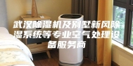 武汉除湿机及别墅新风除湿系统等专业空气处理设备服务商