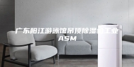 广东阳江游泳馆吊顶除湿机工业ASM