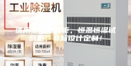 医用恒温恒湿柜，恒温恒湿试剂柜，非标设计定制！