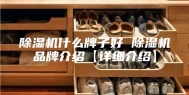 除湿机什么牌子好 除湿机品牌介绍【详细介绍】