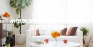 小型除湿机品牌介绍 小型除湿机价格说明