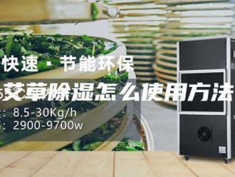 知识百科艾草除湿怎么使用方法