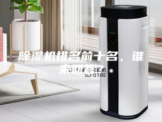 企业新闻除湿机排名前十名，谁来回答？