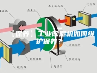 常见问题【保养】工业除湿机如何维护保养？