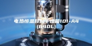 电热恒温鼓风干燥箱101-A4(640L)