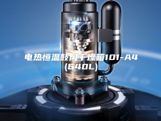 常见问题电热恒温鼓风干燥箱101-A4(640L)