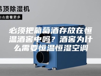 常见问题必须把葡萄酒存放在恒温酒窖中吗？酒窖为什么需要恒温恒湿空调