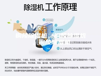 企业新闻铜陵除湿机。铜陵抽湿机。铜陵除湿机
