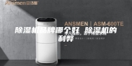 除湿机品牌哪个好 除湿机的利弊