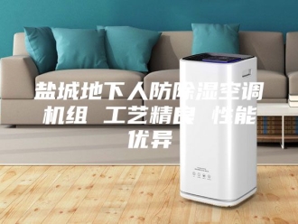 行业新闻盐城地下人防除湿空调机组 工艺精良 性能优异