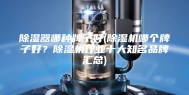 除湿器哪种牌子好(除湿机哪个牌子好？除湿机行业十大知名品牌汇总)