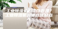工业除湿机的工作原理？工业除湿机有哪些优缺点？