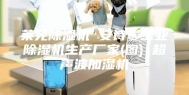 莱芜除湿机 安诗曼工业除湿机生产厂家(图) 超声波加湿机