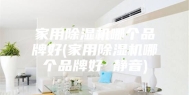 家用除湿机哪个品牌好(家用除湿机哪个品牌好 静音)