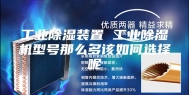 工业除湿装置 工业除湿机型号那么多该如何选择呢